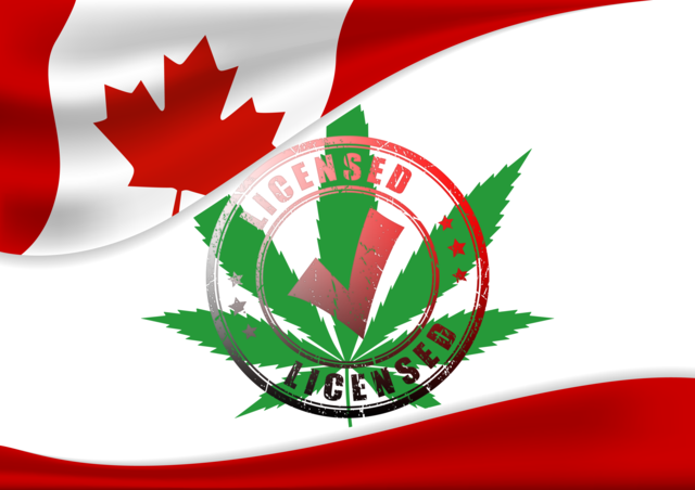カナダで大麻のライセンス計画が提案される