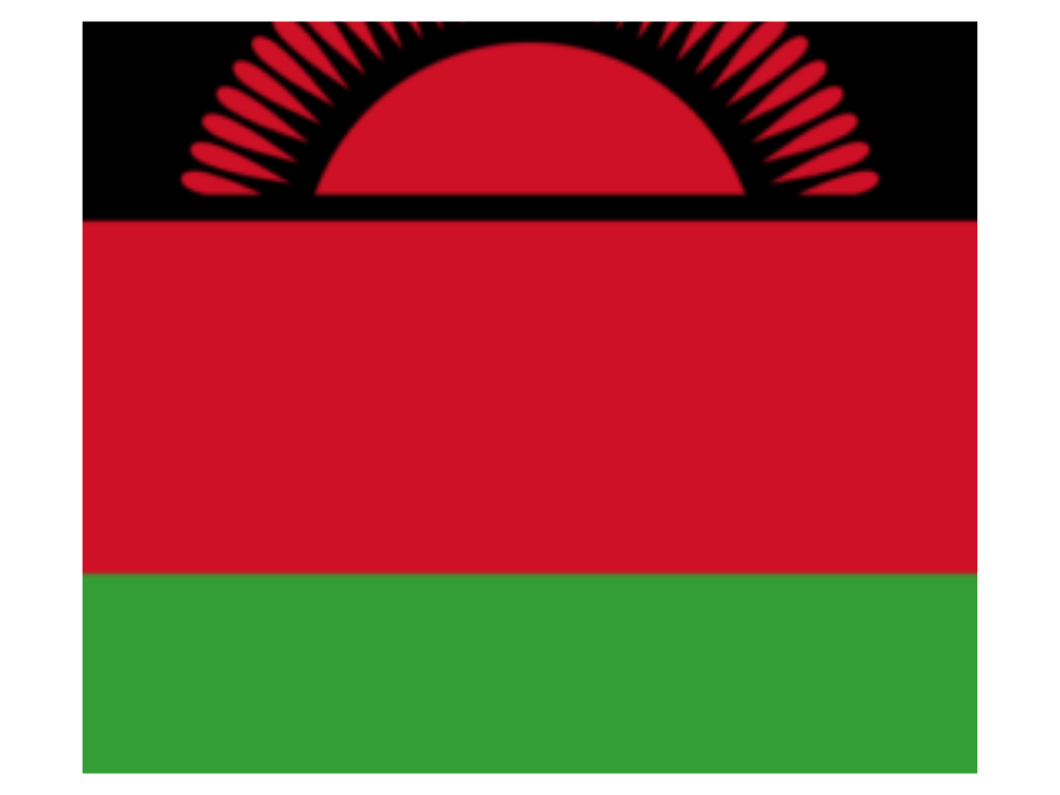 マラウィのヘンプ活動家、大統領選出馬を示唆